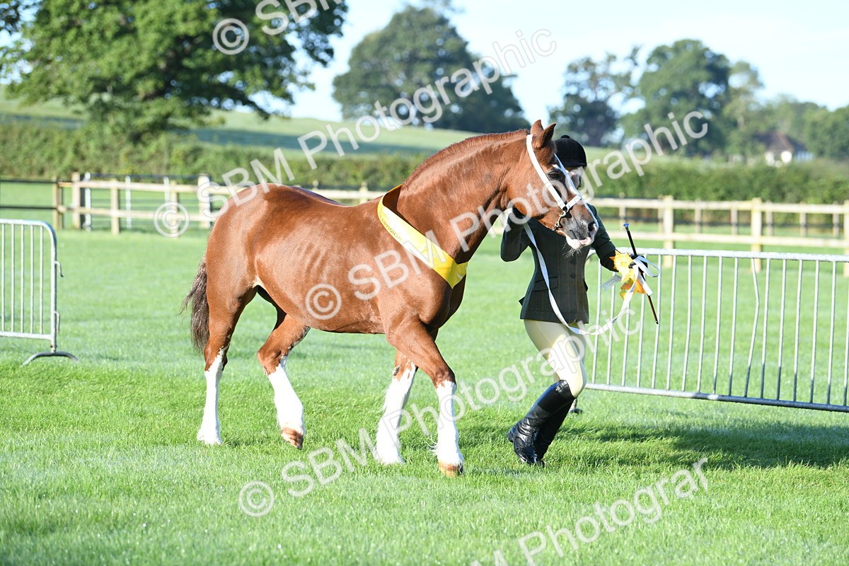SBM_32861 - S15 - Condition & Turnout In Hand