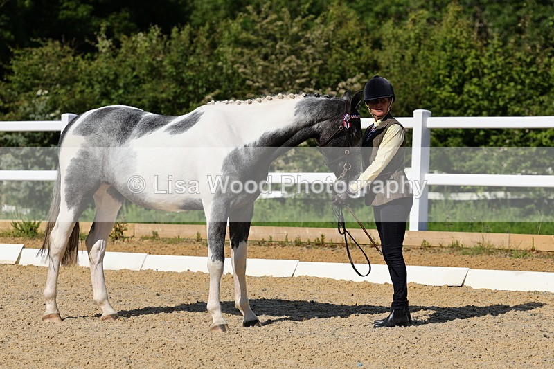 1X9A0760 - Class 4: Youngstock 1, 2, 3 year old to exceed 153cm