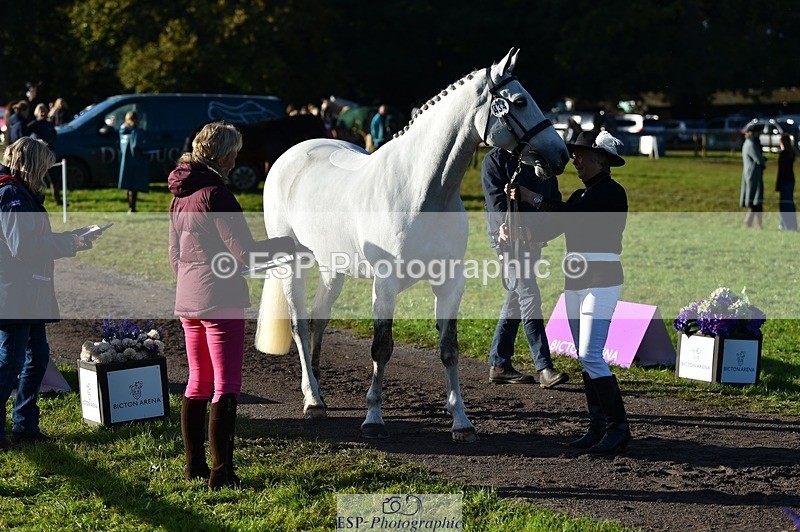 231022-095724-22137 - 434-SPINK.BUSTER-Sue.Parkes-TrotUp+SJ