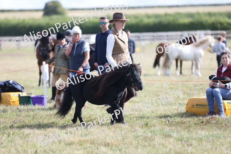 20250831-1513 - Class 21 - Inhand Open