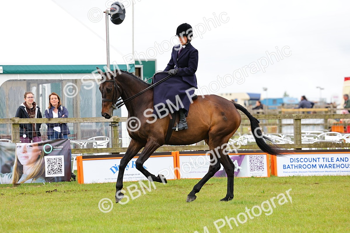 SBM_02822 - Class 9-11 Side Saddle including LIHS Rising Star Ladies Show Horse