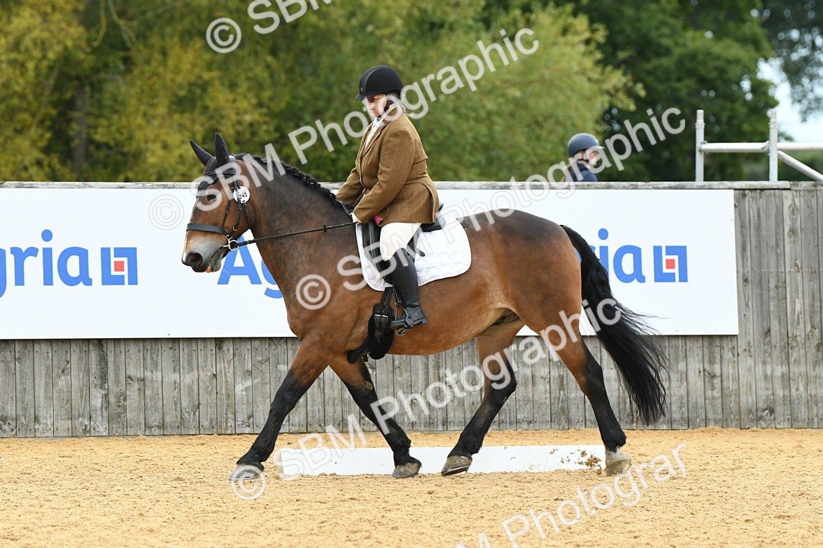 SBM_10024 - D15 Small Tour Championship Novice 24