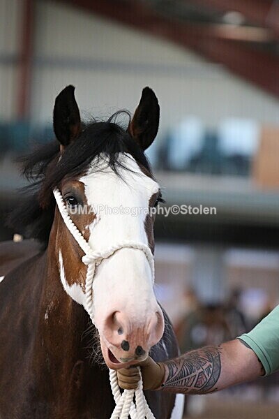 SIAL0258 - Indoor Classes