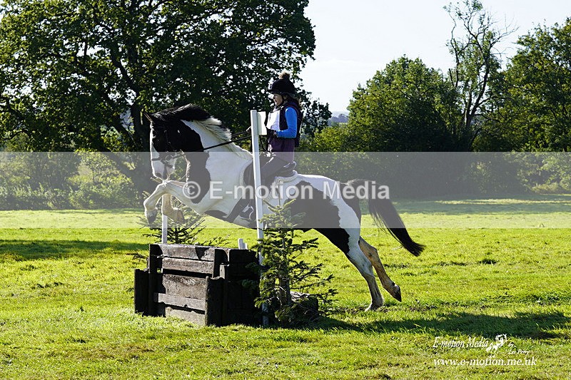  WWHT 031021 621 - WWEC Novice Restricted (0.80m) 18/10/20