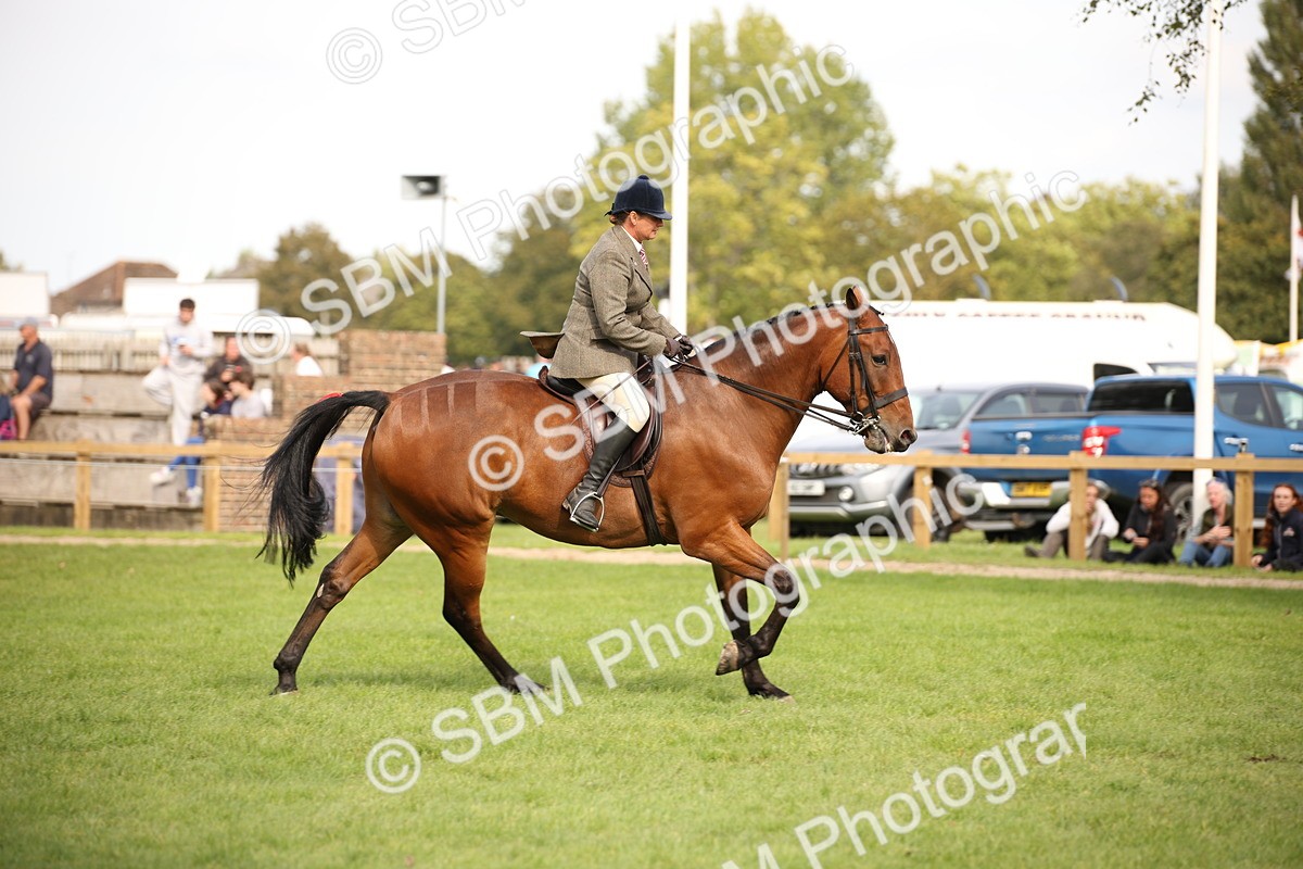 SBM_70421 - S66 - Hunter Ridden