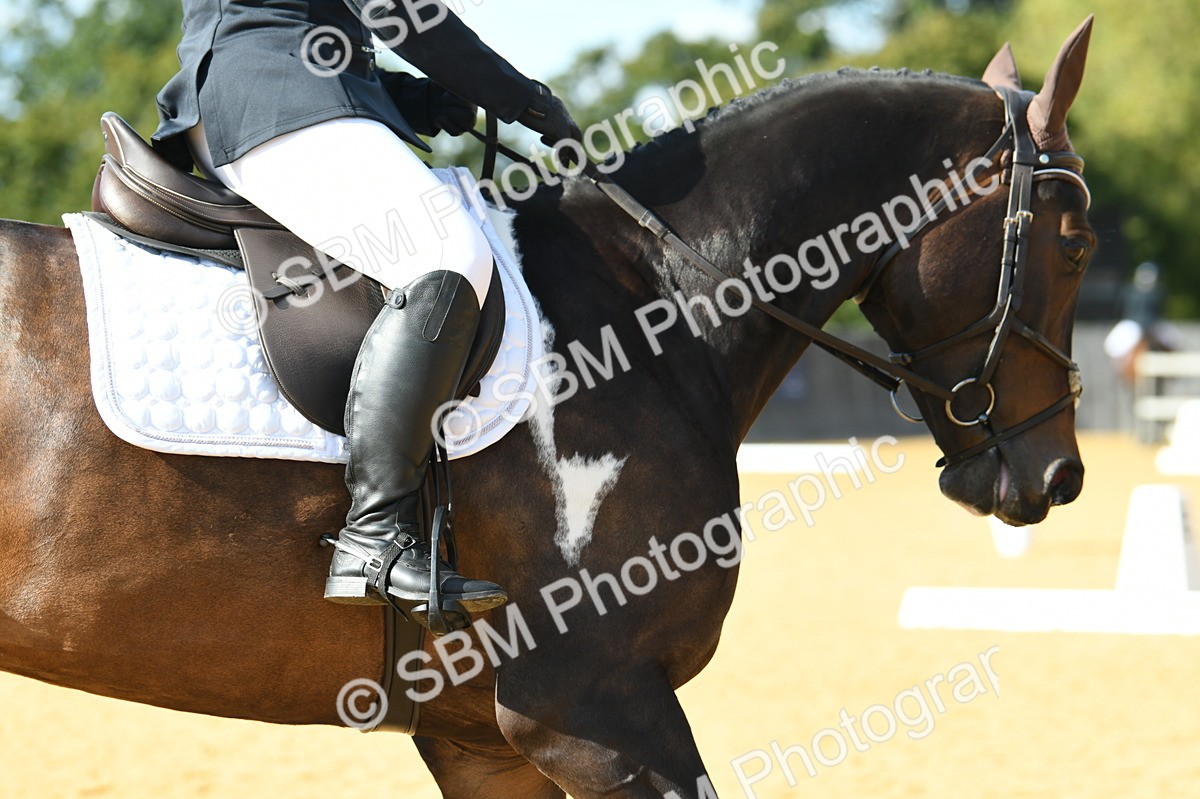 SBM_27020 - D16 - Small Tour Championship - Novice 28