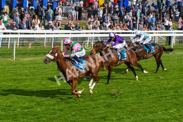 170523-Race 6-Mon Na Slieve-0797 - Race 6 4.45pm British EBF 40th Anniversary Novice Stakes