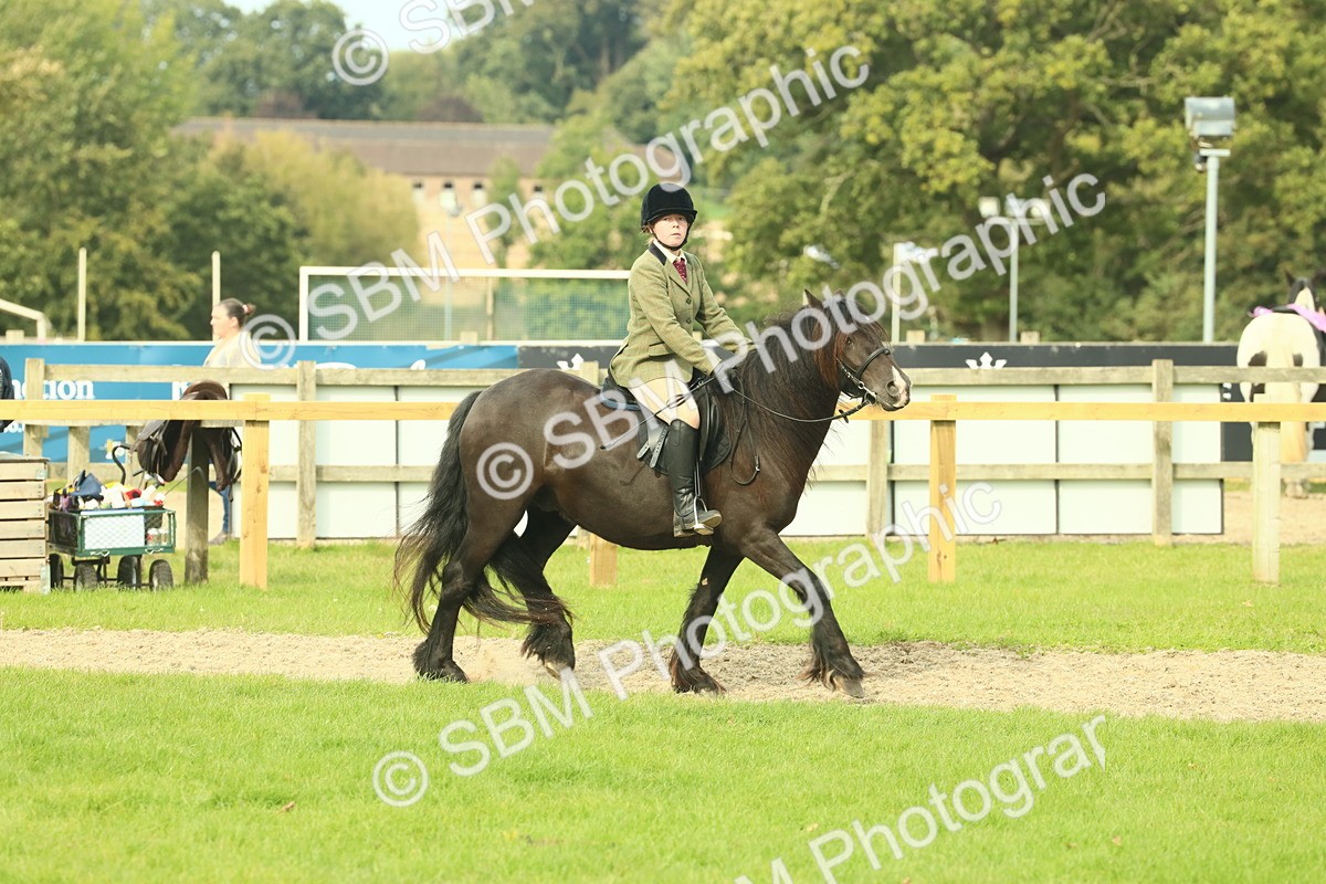 SBM_69348 - S58 - Mini Show Cob Ridden