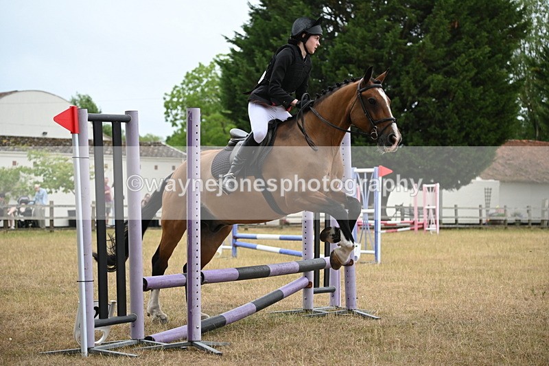 WJ6_0167 - Class 13 Novice Jumping 60cm