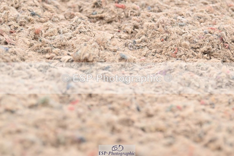 ESP_1567 - Cls 51 BD Elementary 53