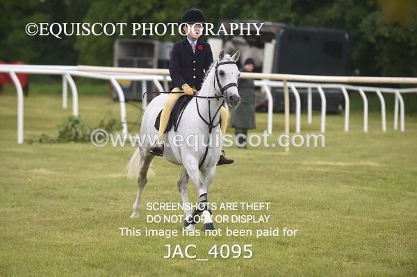 JAC_4095 - 40CM WORKING HUNTER