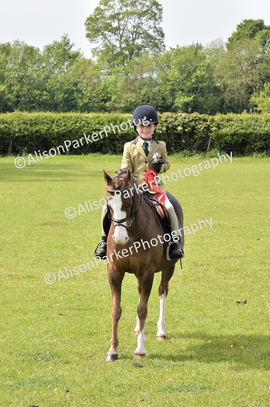 20260426-2343 - Class 20 - Beginner Working Hunter