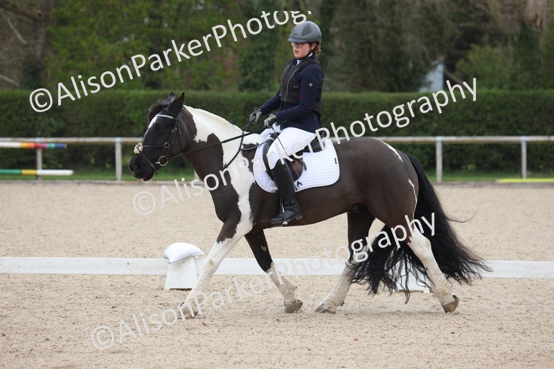 20260404-0207 - Class 2 - Intro 4