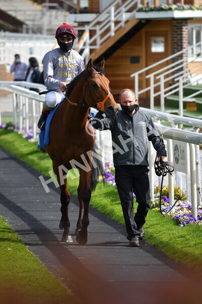 yr13052021r6-22 - Race 6 4.15pm Constant Security EBFstallions.com Maiden Stakes
