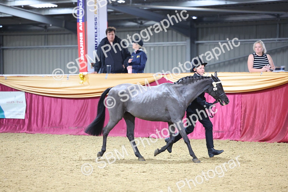 SBM_18547 - Class B Junior Champ 11-16 years