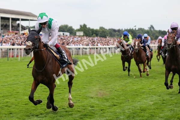 yr20082021r5-22 - Race 5 4.10pm British Stallion Studs EBF Convivial Maiden Stakes (Plus 10 Race)