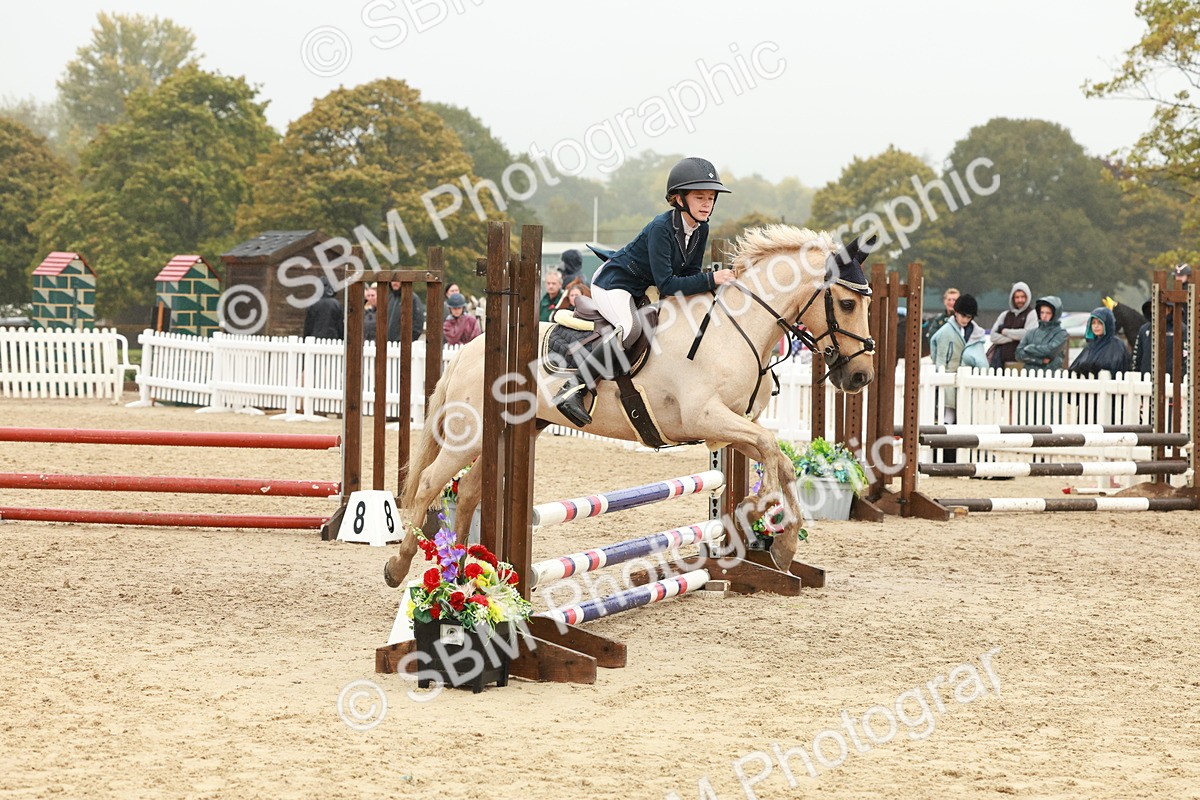 SBM_73306 - Supreme Championship Junior Pony 60cm & 65cm