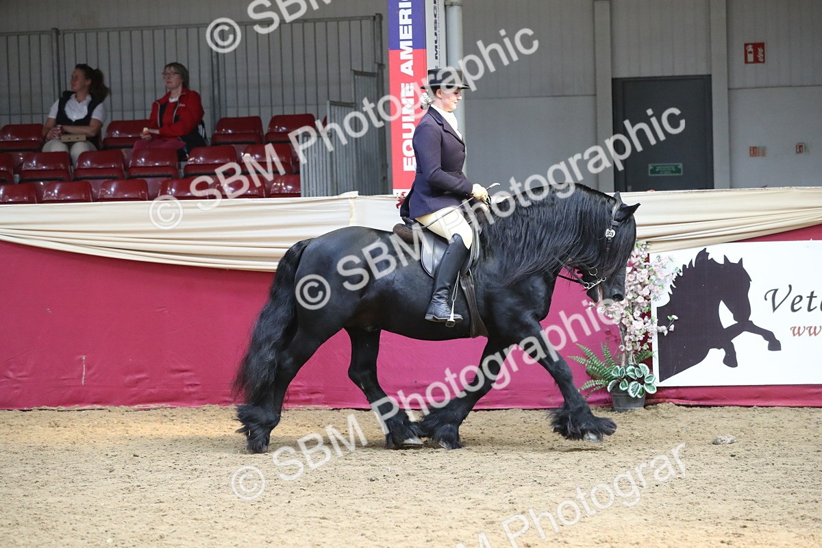 SBM_16281 - Class 502 M&M Ridden Supreme Final