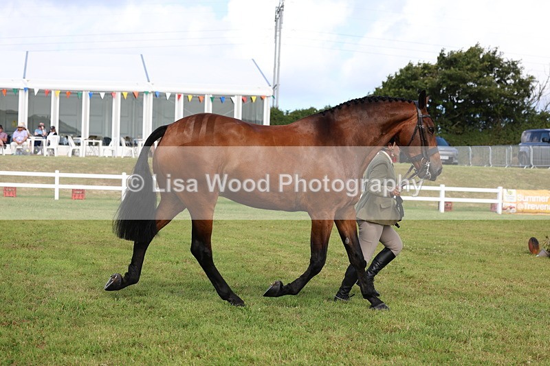 3E7A9513 - Class 4: Rising Star M/H Hunter