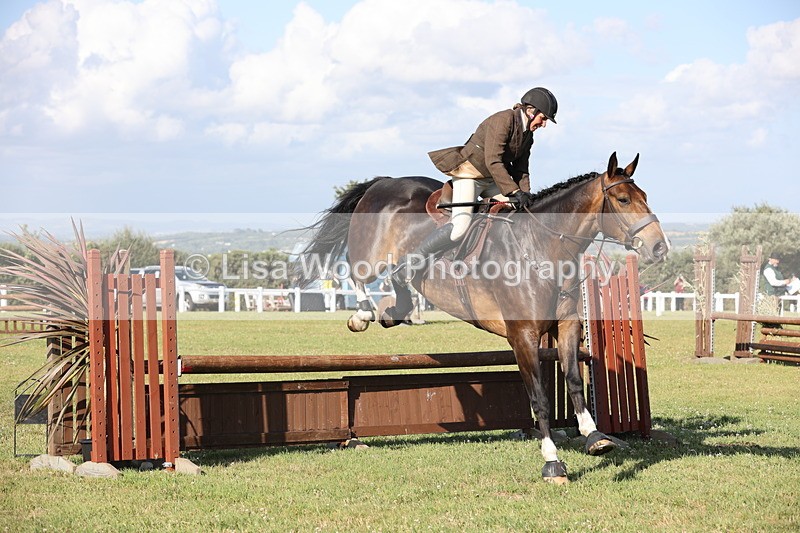 JPP_3082 - Class 21: Working Hunter 80cm