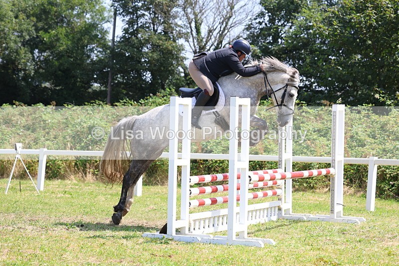 3E7A2913 - Class 7: Senior British Novice/90cm open