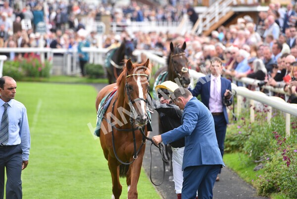 yr20082021r2-17 - Race 2 2.25pm Weatherbys Hamilton Lonsdale Cup (British Champion Series race)