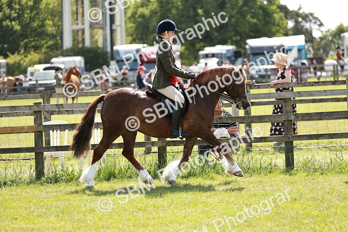 SBM_08473 - Class 61-62 - TSR  M&M Ridden Amateur of the Year