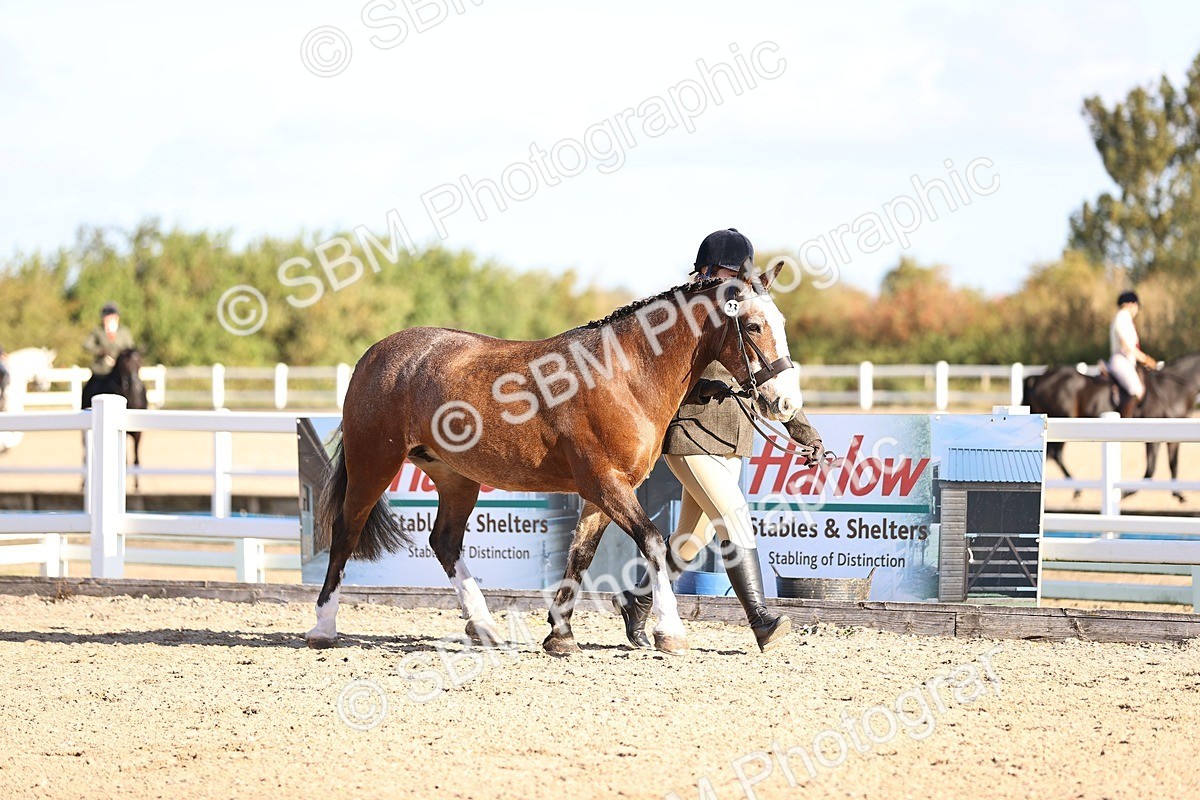 SBM_08410 - Class 402 - IH Veteran Pony