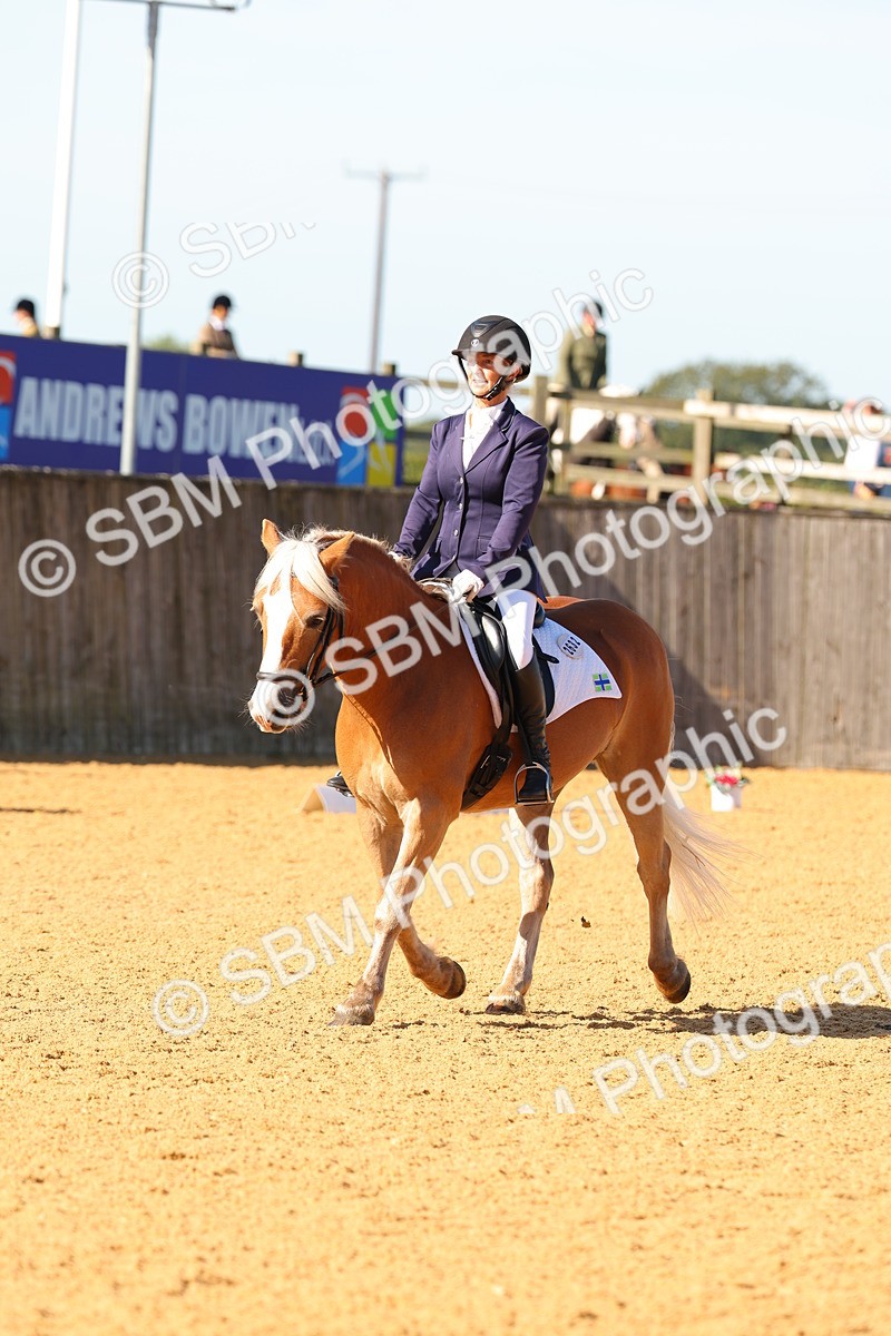 SBM_39905 - D18 - Grand Tour Championship - Novice 34