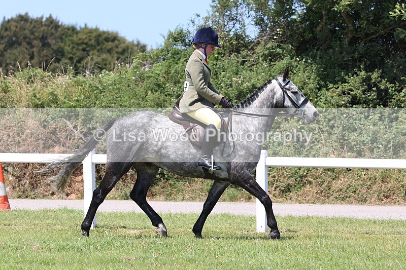 JPP_2713 - Class 21: Working Hunter 60cm