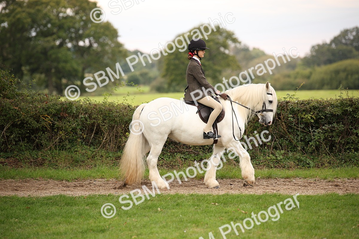 SBM_73416 - S68 - Traditional Cob Ridden