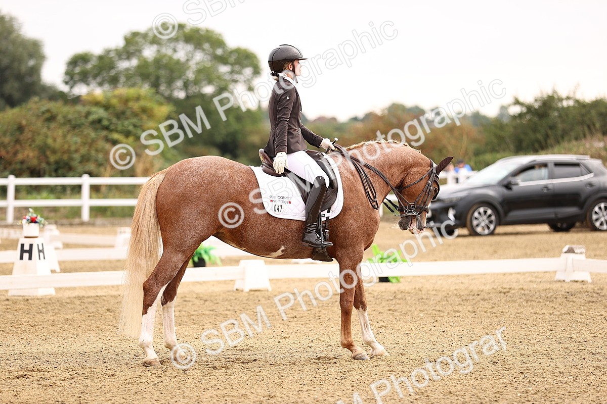 SBM_011541 - Class 1 - Medium 5