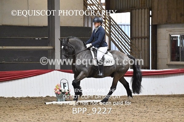 BPP_9227 - ELEM 6