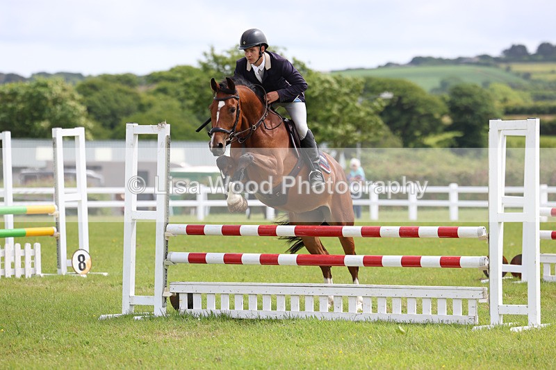 3E7A7411 - Class 13: Senior British Novice/90cm open