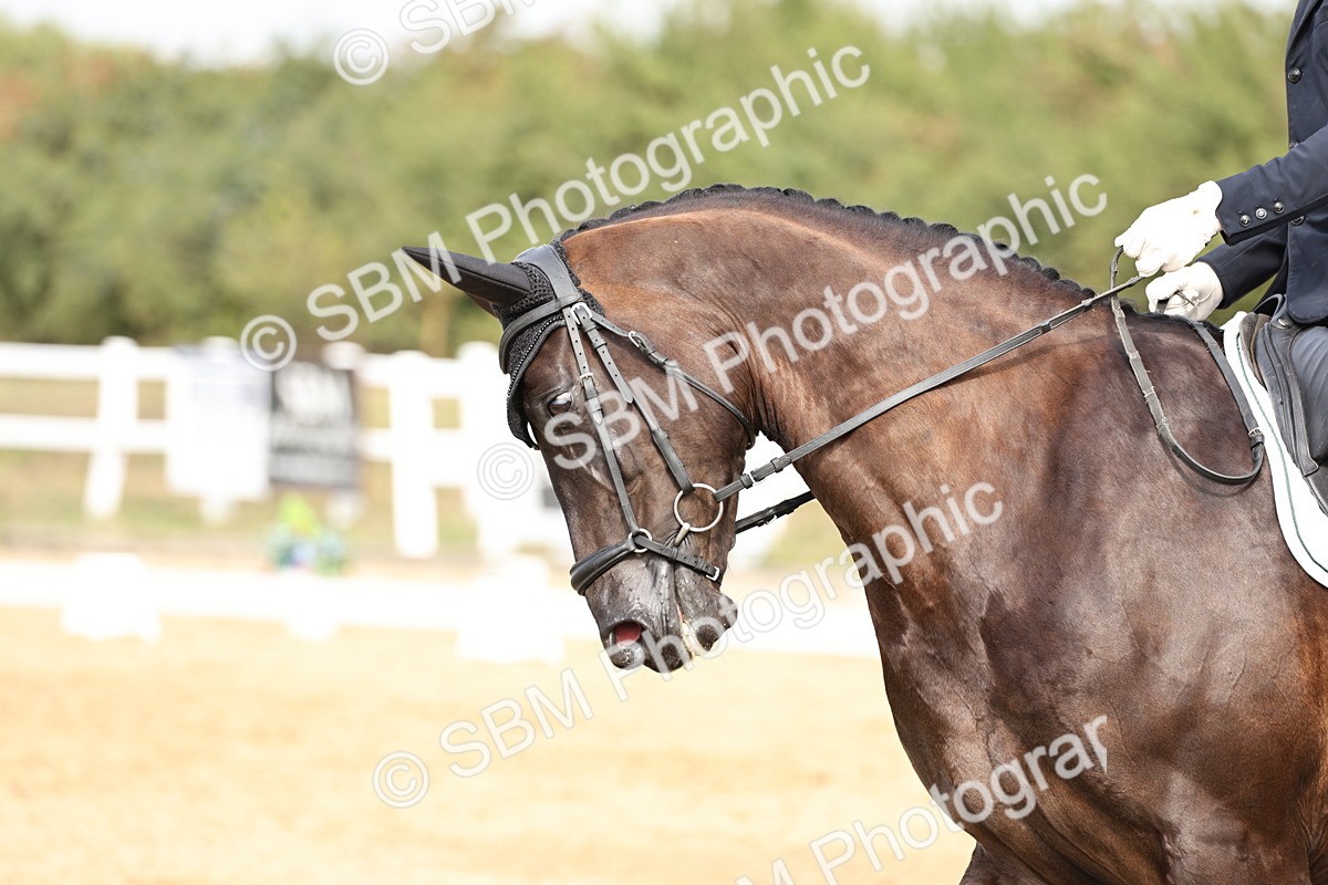 SBM_012475 - Class 2 - Prelim 5