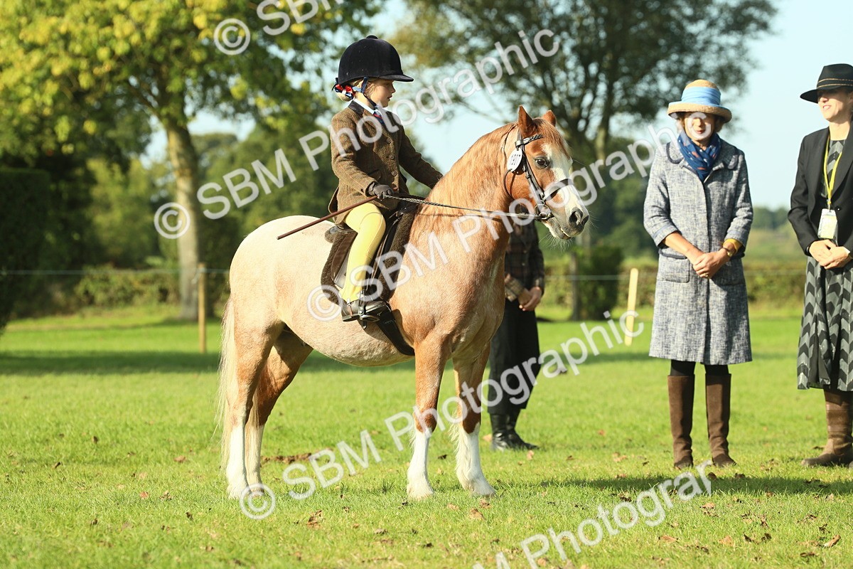 SBM_59225 - S38 - Starters Ridden Showing