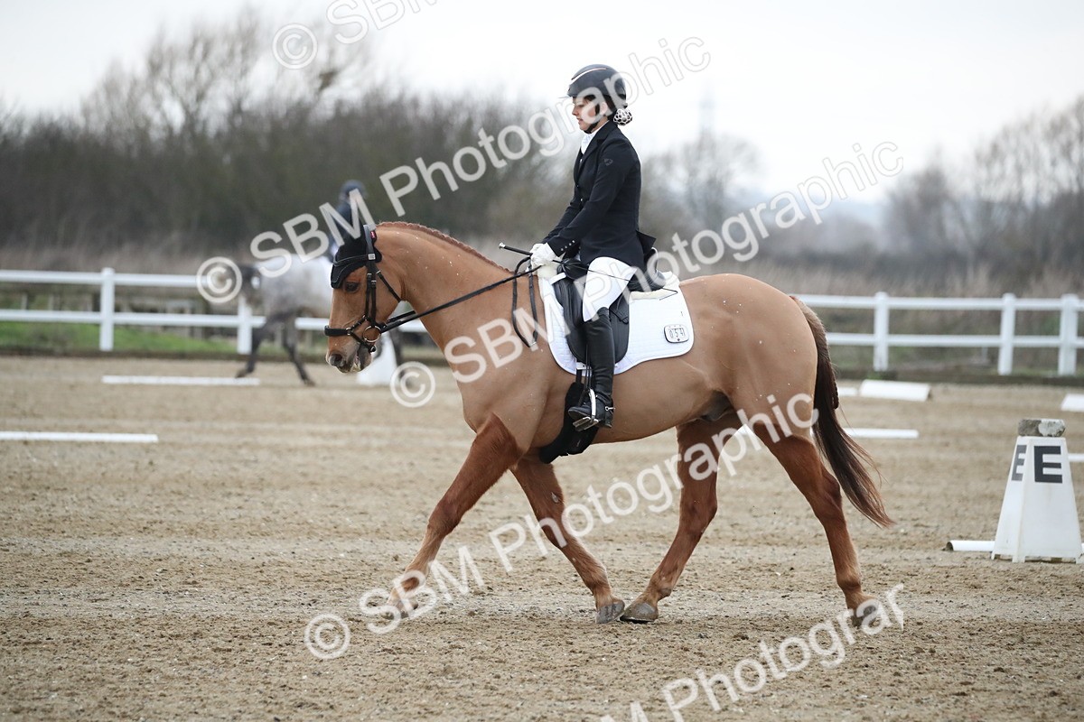 SBM_004770 - Novice 3
