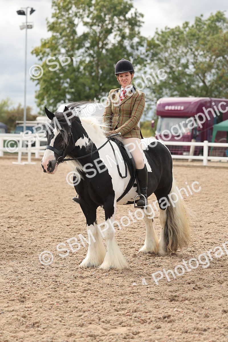 SBM_18032 - Class 314 - Family Horse Pony