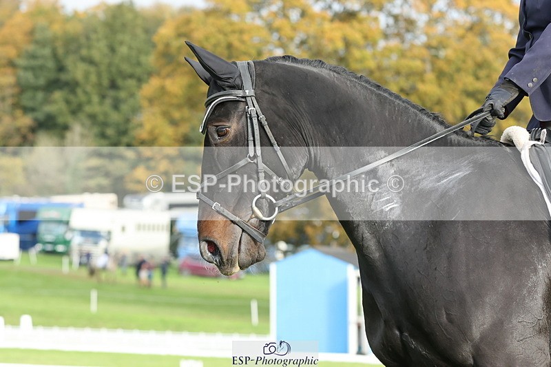 251024A-101619-07705 - D-343-Georgina.Owen