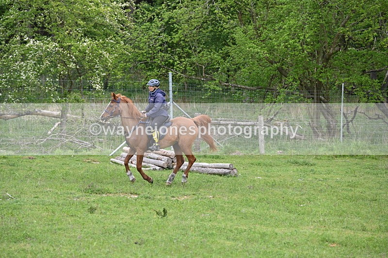 WJ6_3222 - A camera