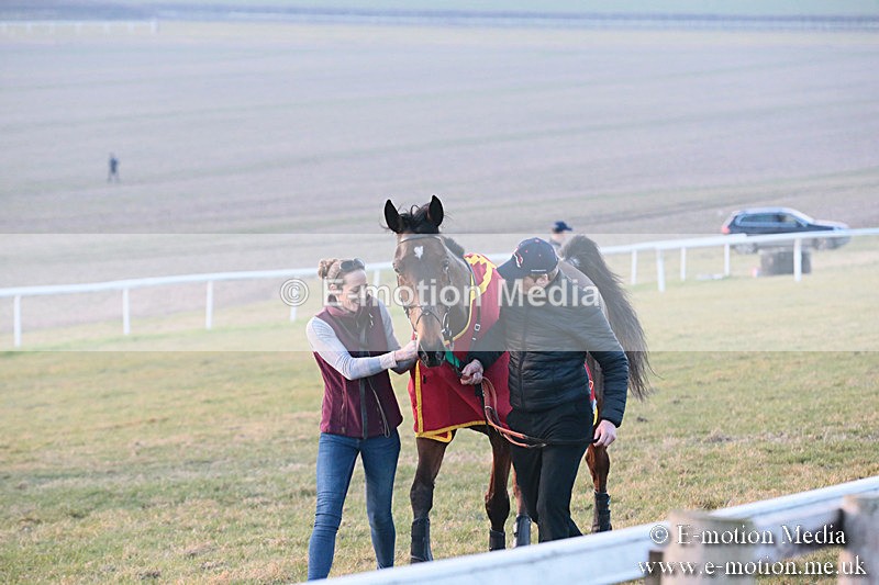PtP 230219 660 - Vine & Craven Point-To-Point - Barbury 23/02/19