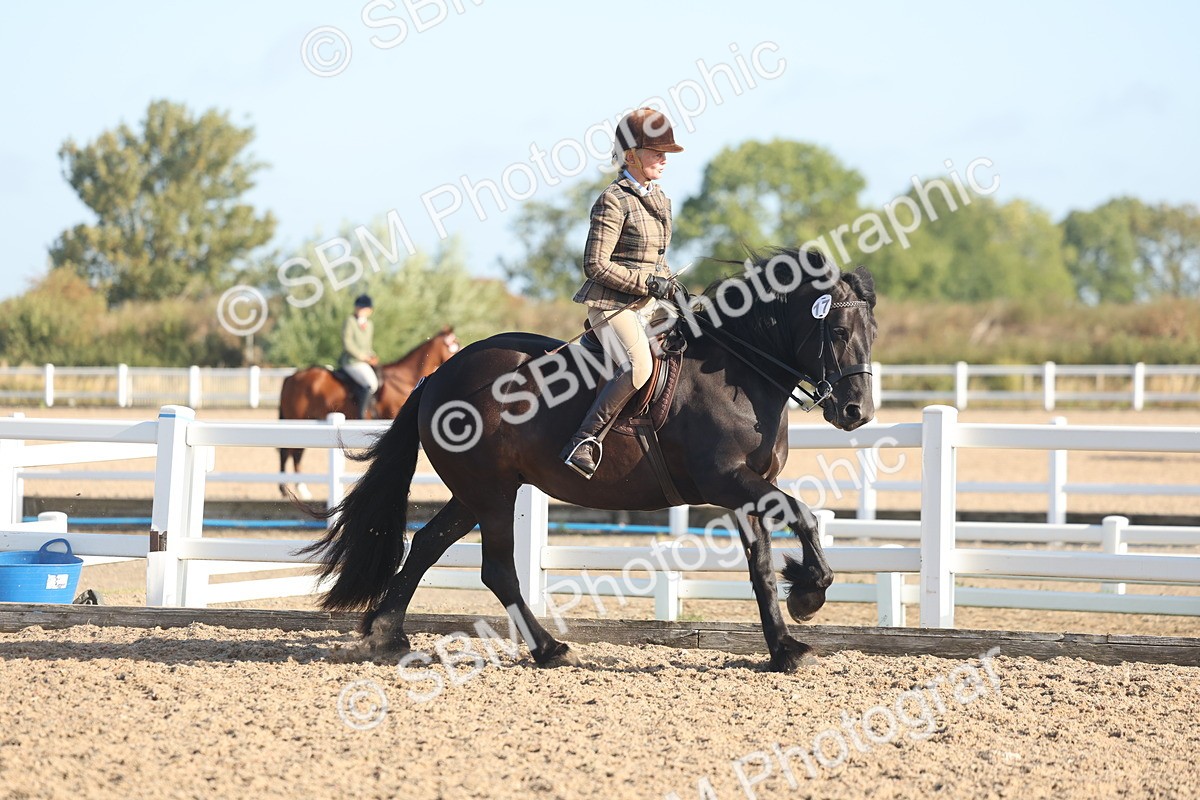 SBM_22119 - Class 801 - Ridden Veterans