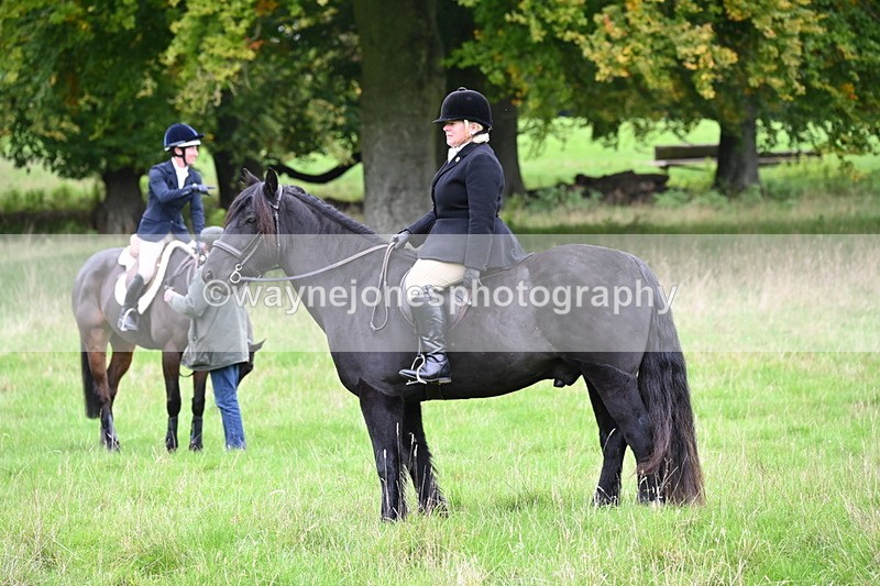 WJ6_9970 - Camera 2 Meet