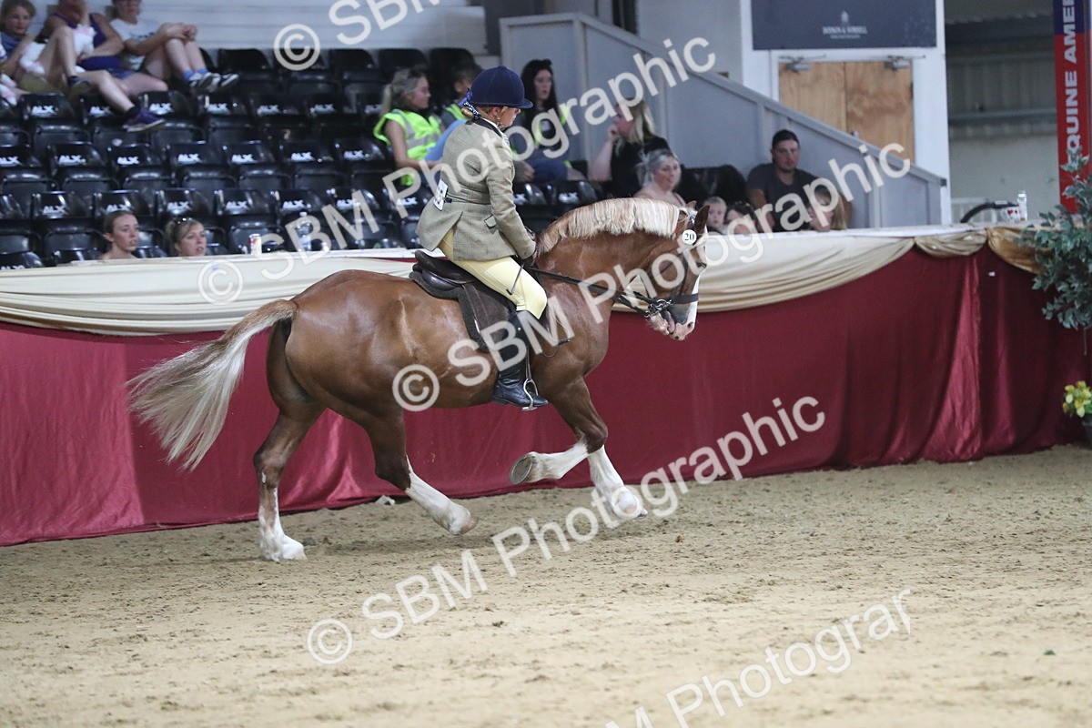 SBM_08417 - Class 11R Regional Ridden Veteran