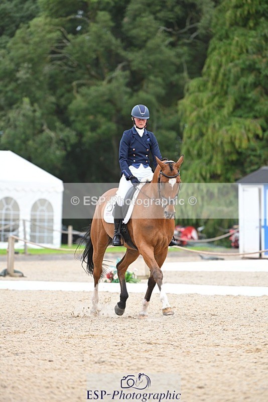 230813-132940-07583 - Cls 13 Medium Bronze 13.15 to End