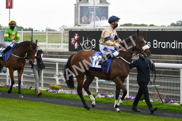 yr14052021r6-4 - Race 6 4.15pm Yorkshire Equine Practice Stakes