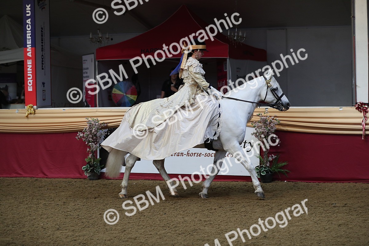 SBM_11211 - Class 104 Ridden Costume - Astride Junior