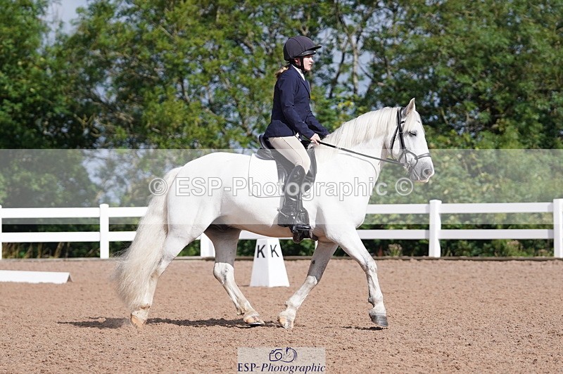 240809A-093320-00272 - Dressage Competition