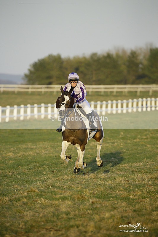 PtP 270222 788 - South & West Wilts Point-to-Point Larkhill 27/02/22