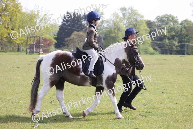 20260426-0601 - Class 31 - Leading Rein